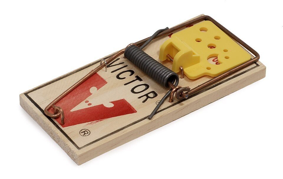 A wooden snap trap baited with a piece of yellow plastic cheese