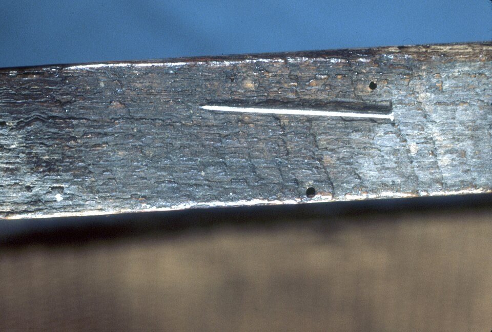 Small round powderpost beetle exit holes in a piece of wood beside a straight pin for scale